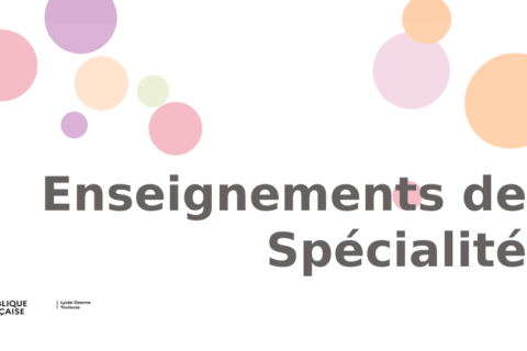 Enseignements de spécialité