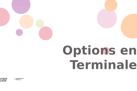 Options de Terminales
